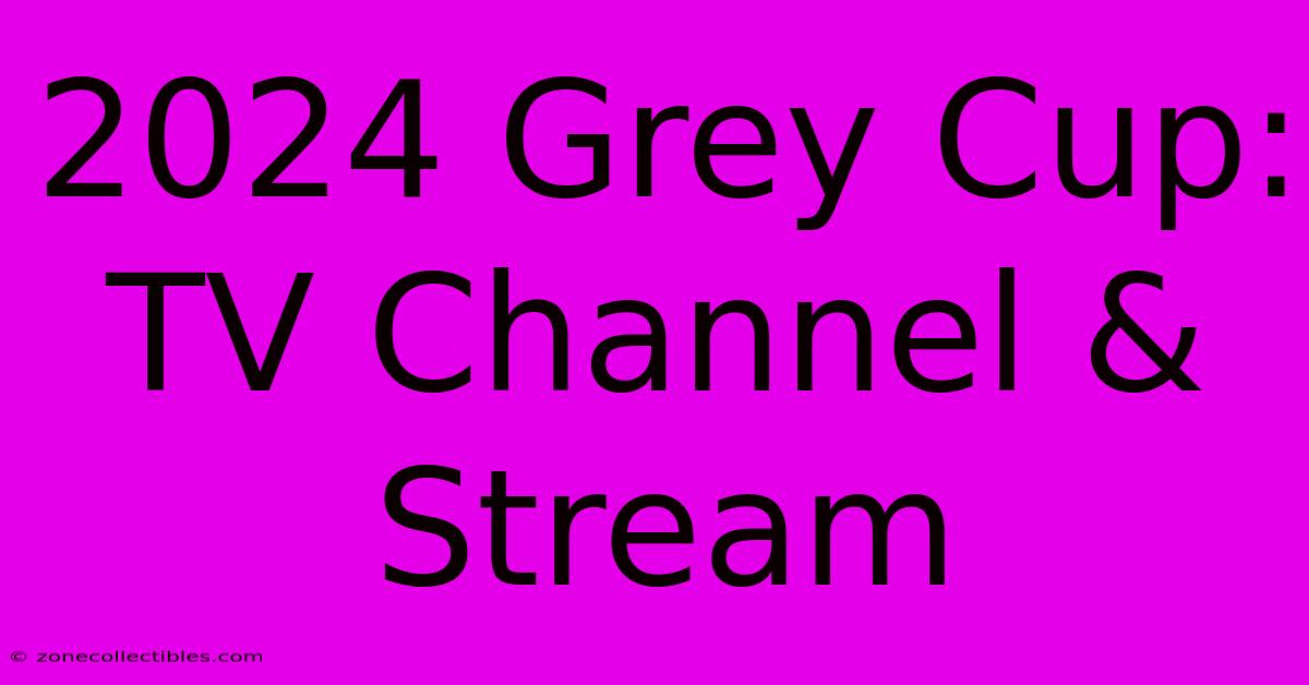 2024 Grey Cup: TV Channel & Stream