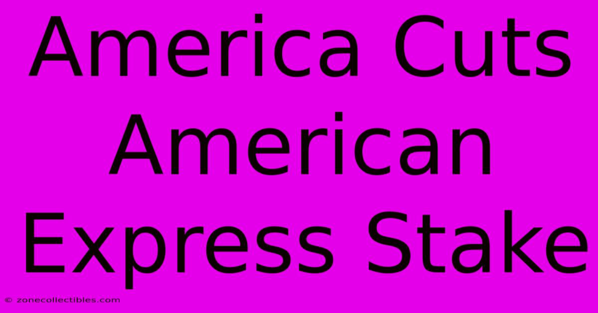 America Cuts American Express Stake