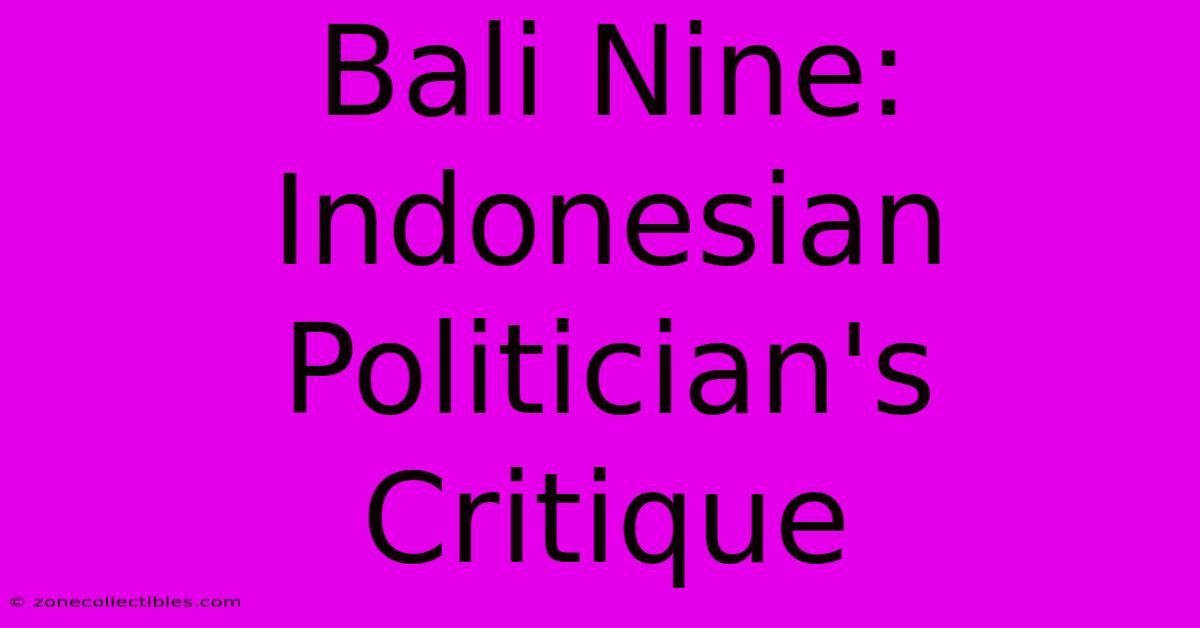 Bali Nine: Indonesian Politician's Critique