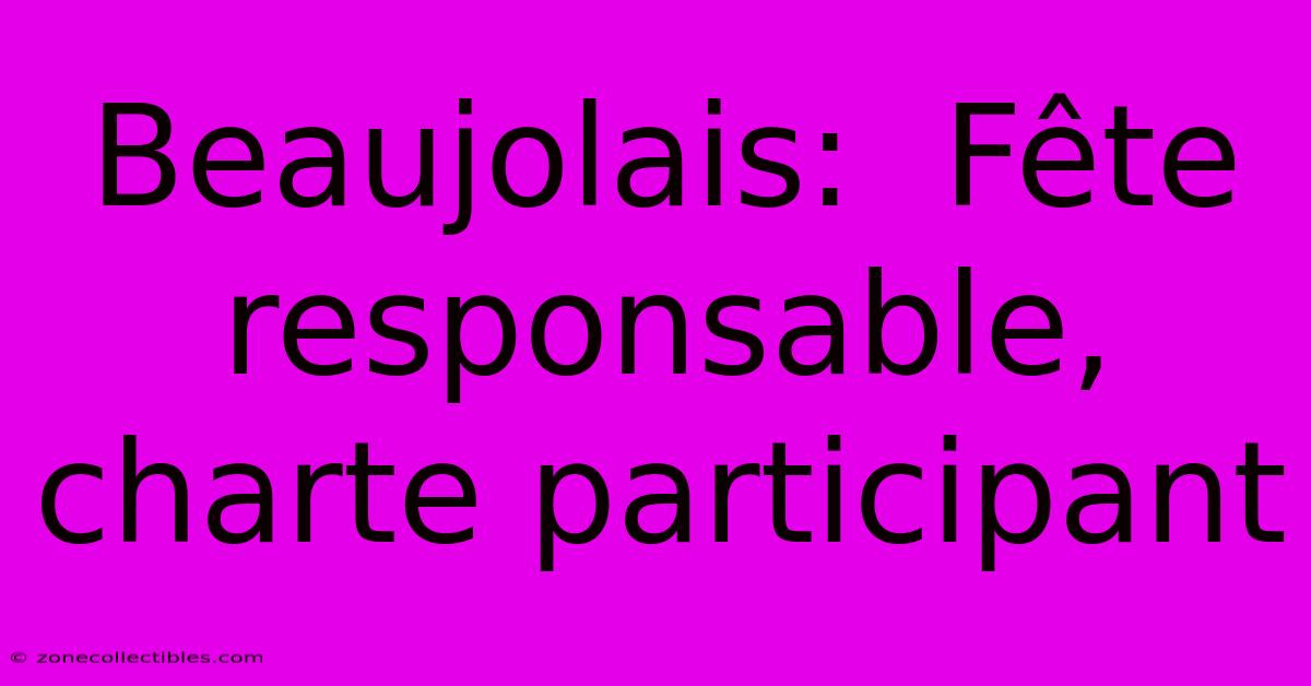 Beaujolais:  Fête Responsable, Charte Participant