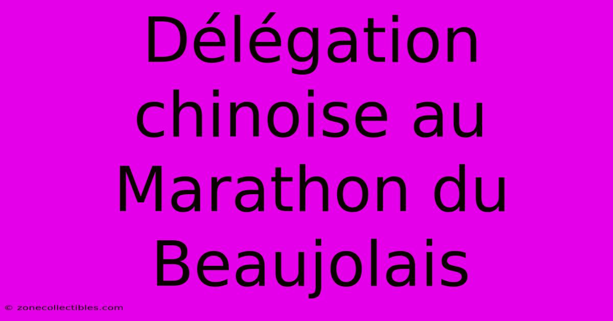 Délégation Chinoise Au Marathon Du Beaujolais