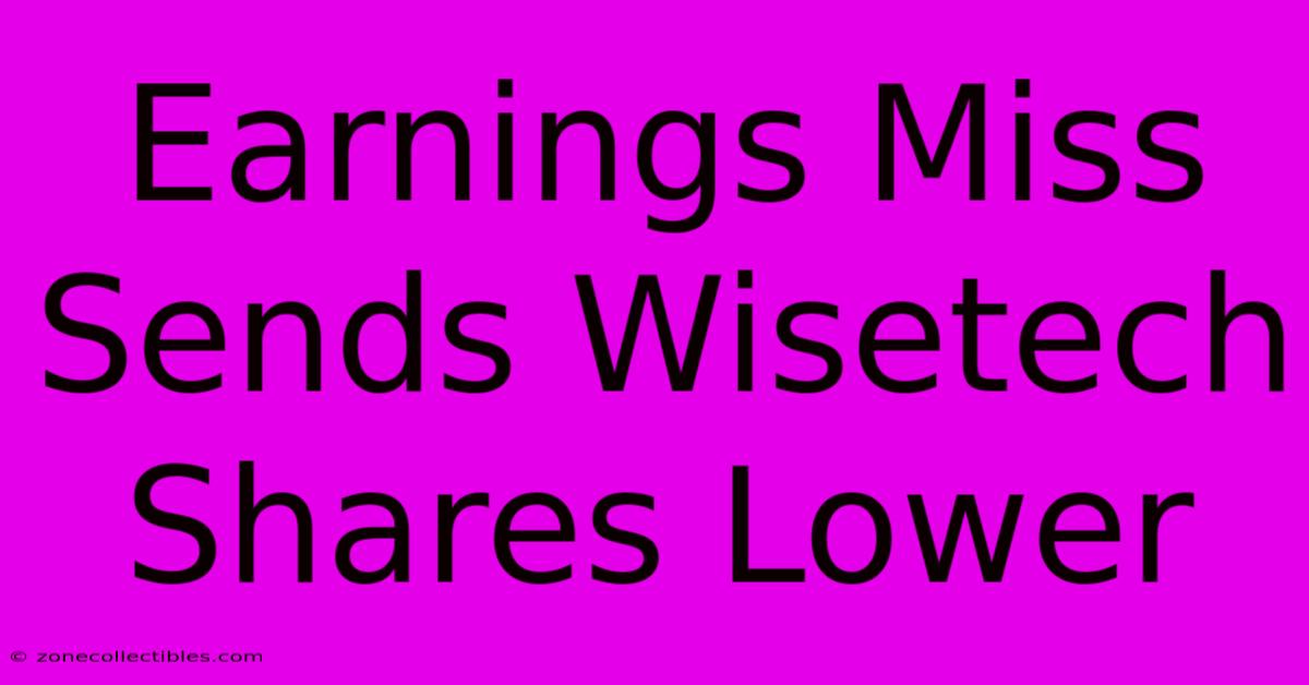 Earnings Miss Sends Wisetech Shares Lower