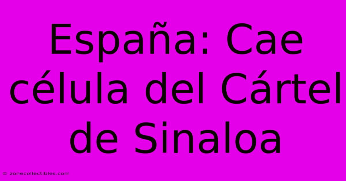 España: Cae Célula Del Cártel De Sinaloa