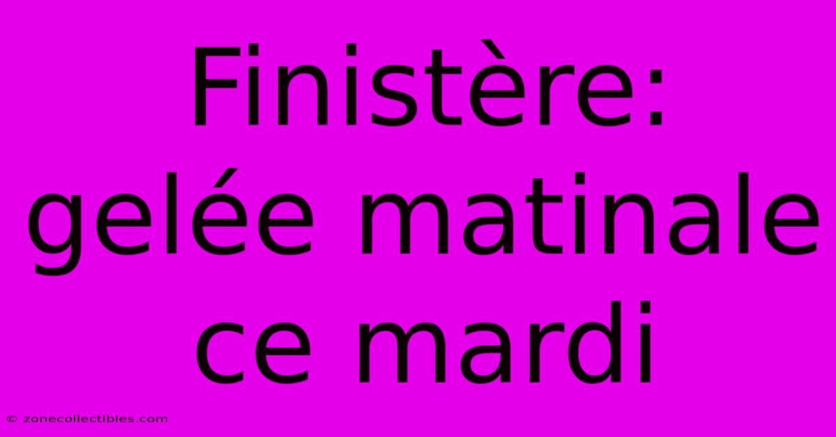 Finistère: Gelée Matinale Ce Mardi