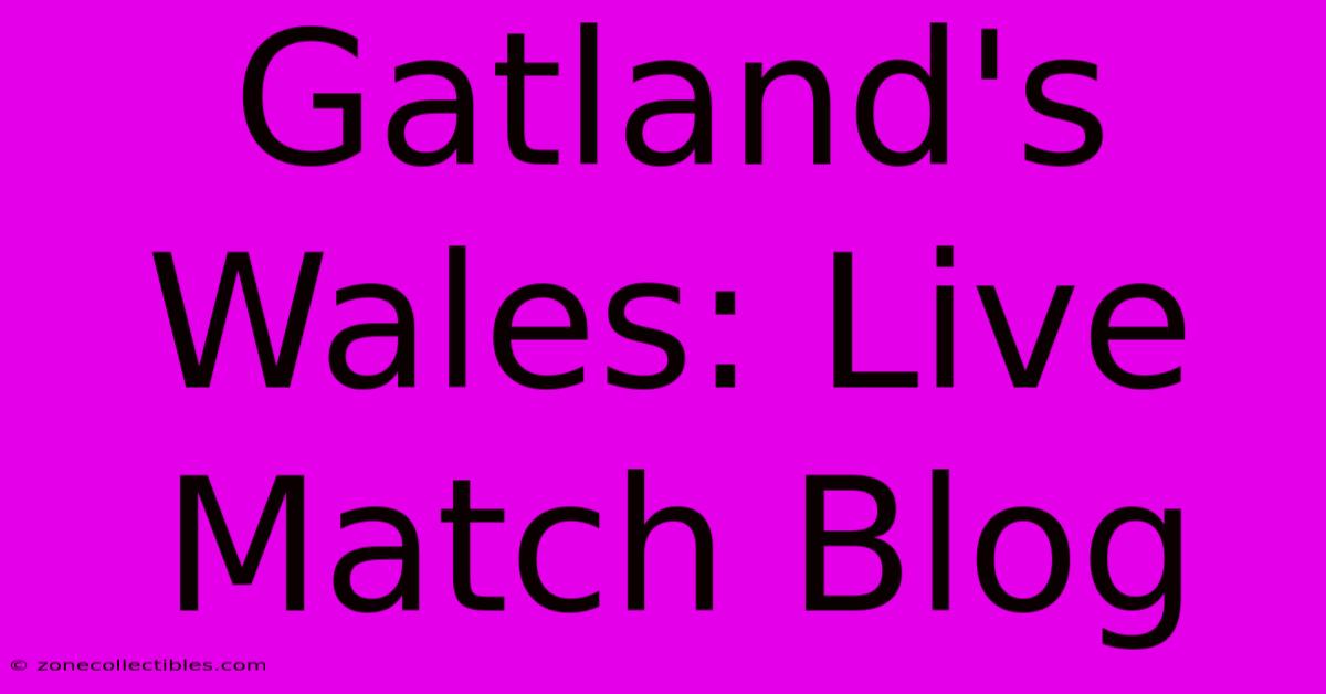 Gatland's Wales: Live Match Blog