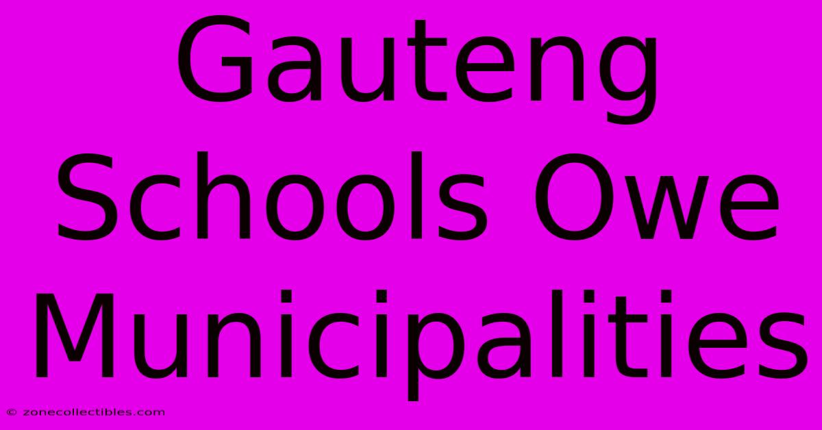 Gauteng Schools Owe Municipalities