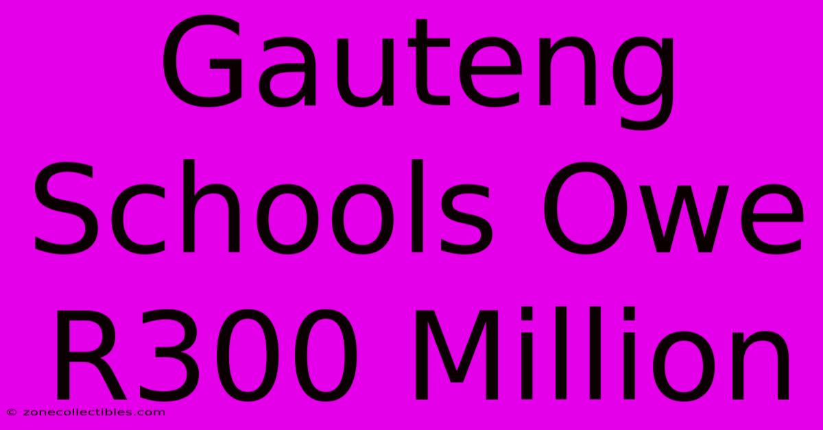 Gauteng Schools Owe R300 Million