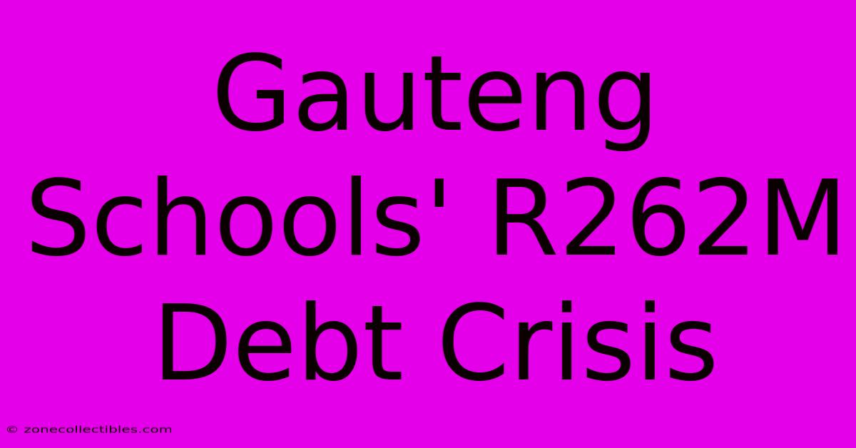 Gauteng Schools' R262M Debt Crisis