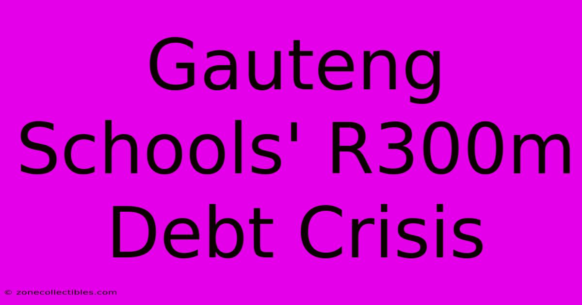 Gauteng Schools' R300m Debt Crisis