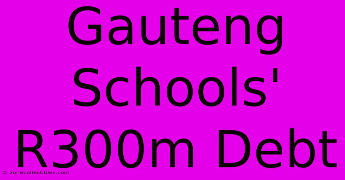 Gauteng Schools' R300m Debt