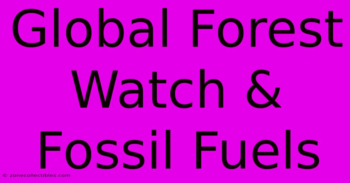 Global Forest Watch & Fossil Fuels