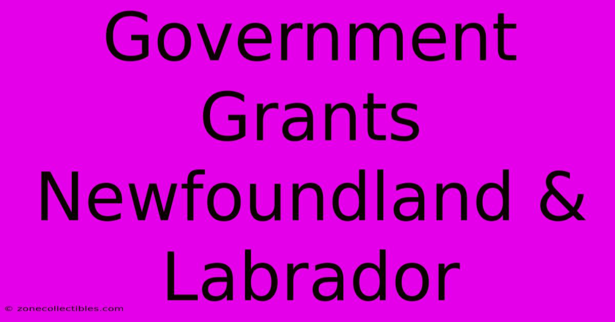 Government Grants Newfoundland & Labrador