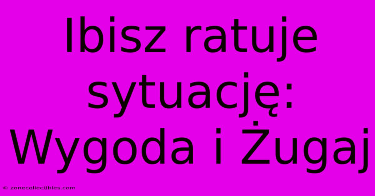 Ibisz Ratuje Sytuację: Wygoda I Żugaj