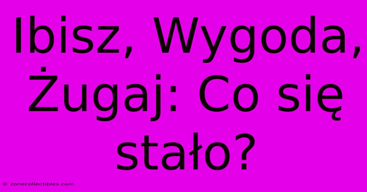 Ibisz, Wygoda, Żugaj: Co Się Stało?