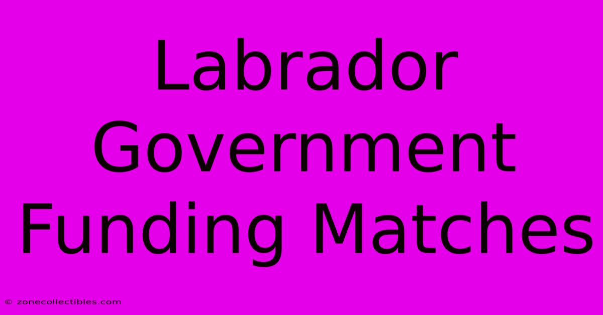 Labrador Government Funding Matches