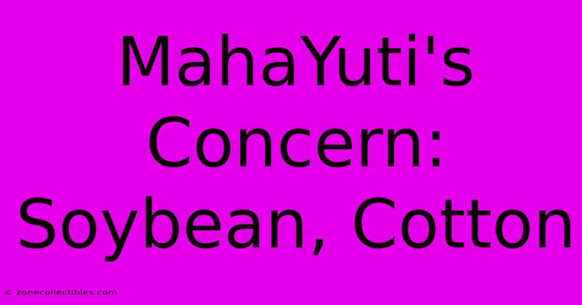 MahaYuti's Concern: Soybean, Cotton