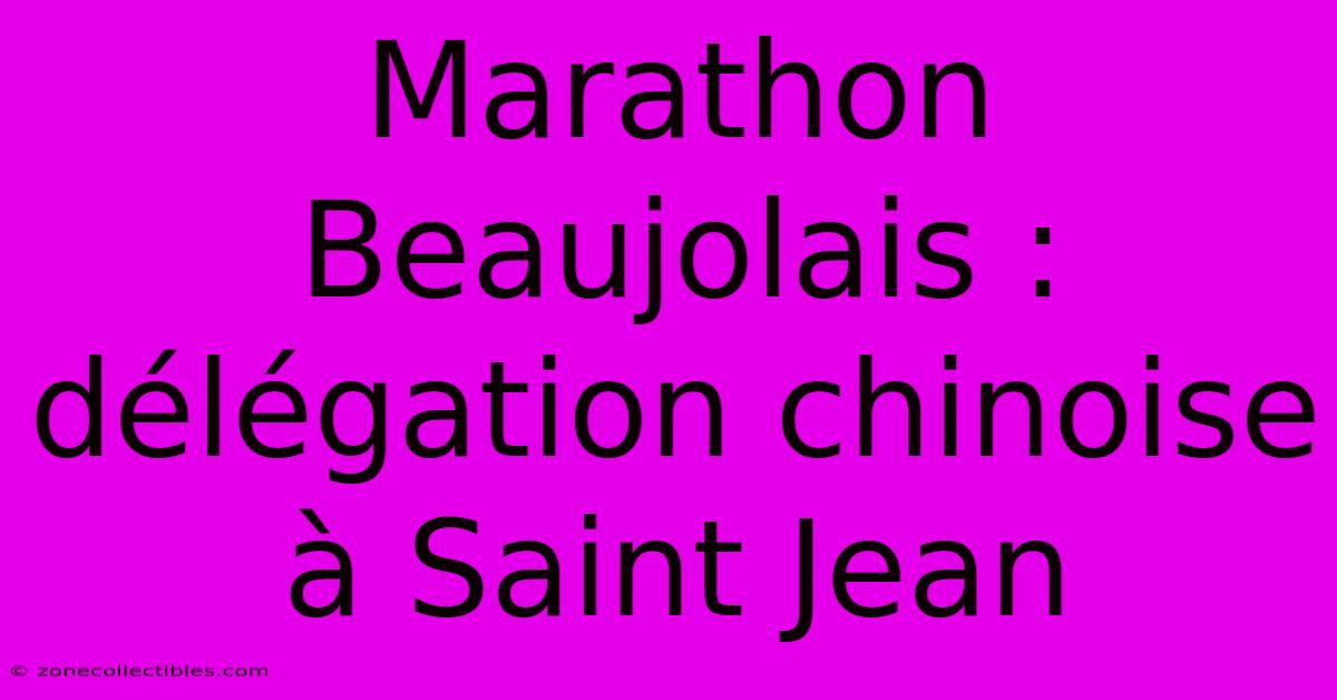 Marathon Beaujolais : Délégation Chinoise À Saint Jean