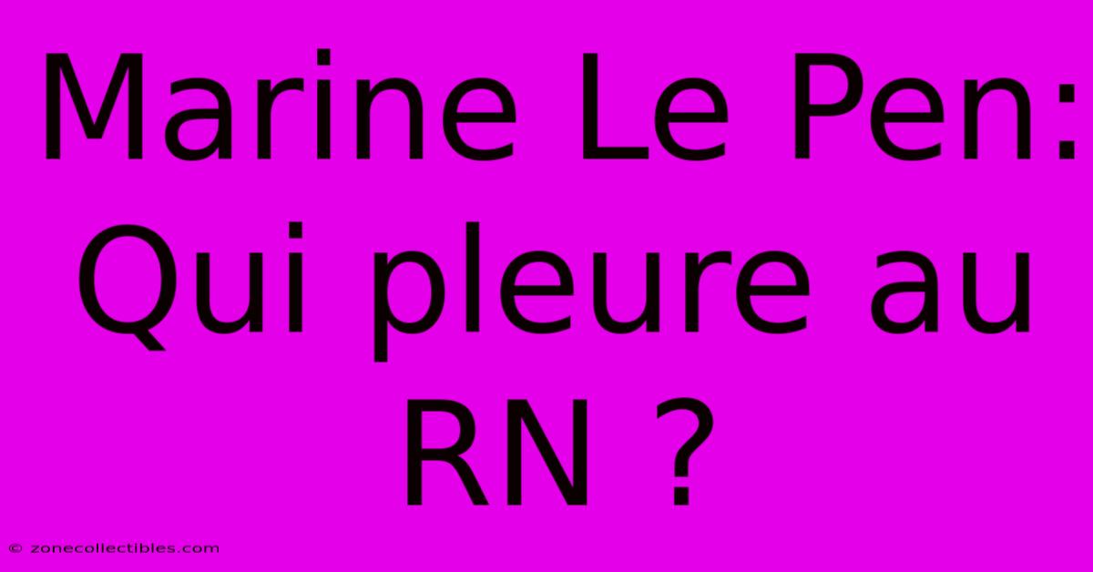 Marine Le Pen: Qui Pleure Au RN ?