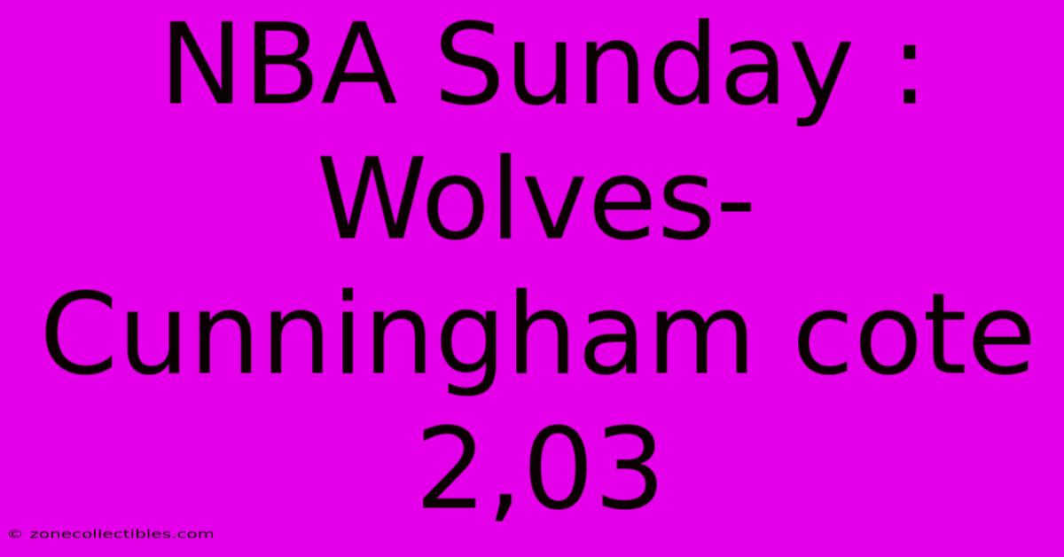 NBA Sunday : Wolves-Cunningham Cote 2,03