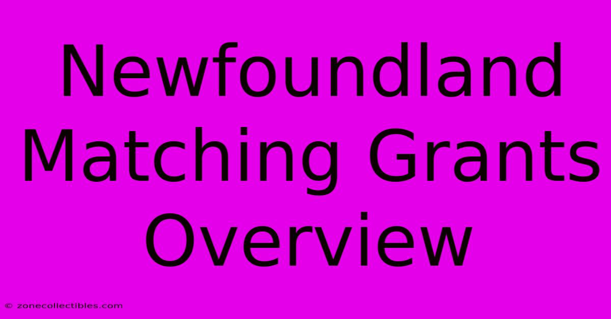 Newfoundland Matching Grants Overview