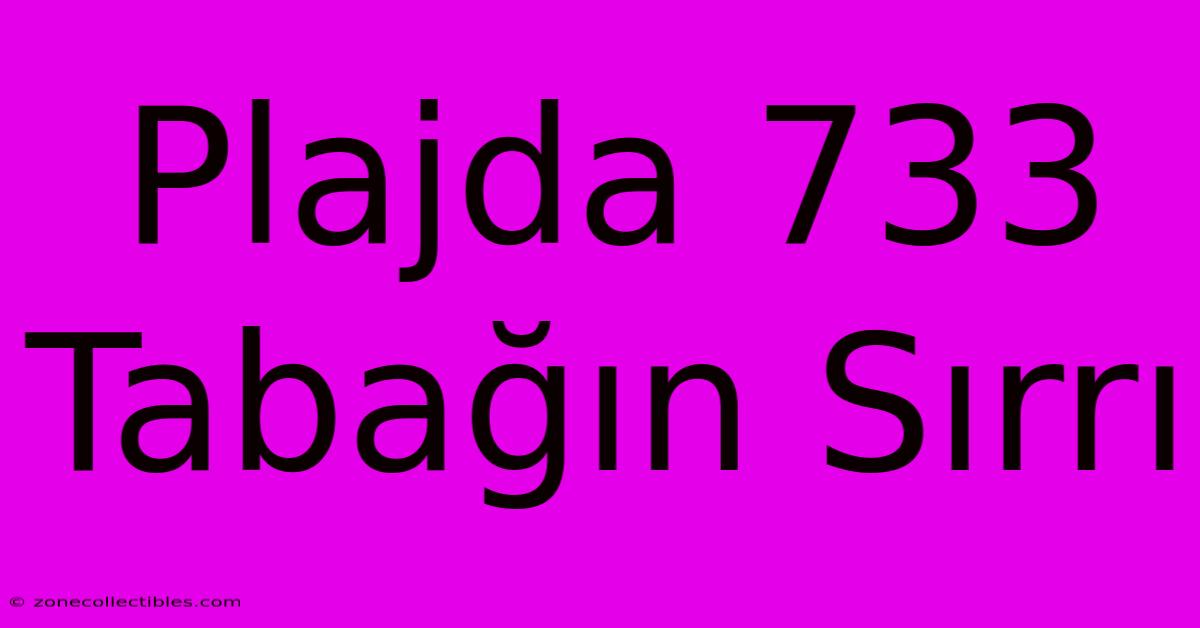 Plajda 733 Tabağın Sırrı