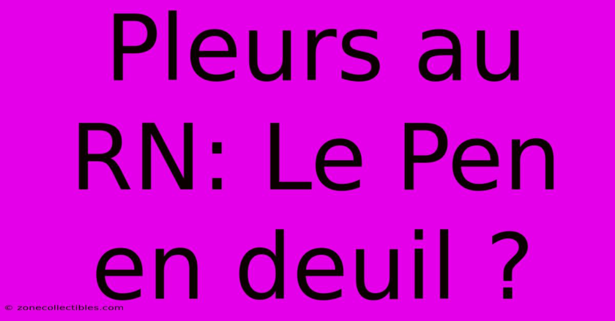 Pleurs Au RN: Le Pen En Deuil ?