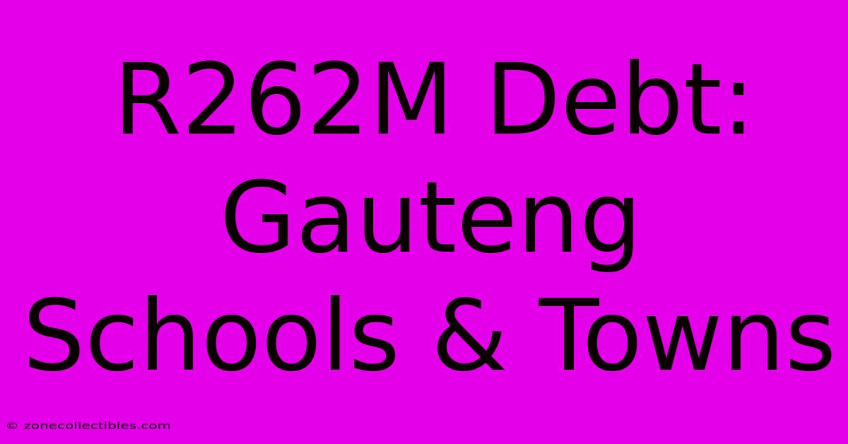 R262M Debt: Gauteng Schools & Towns