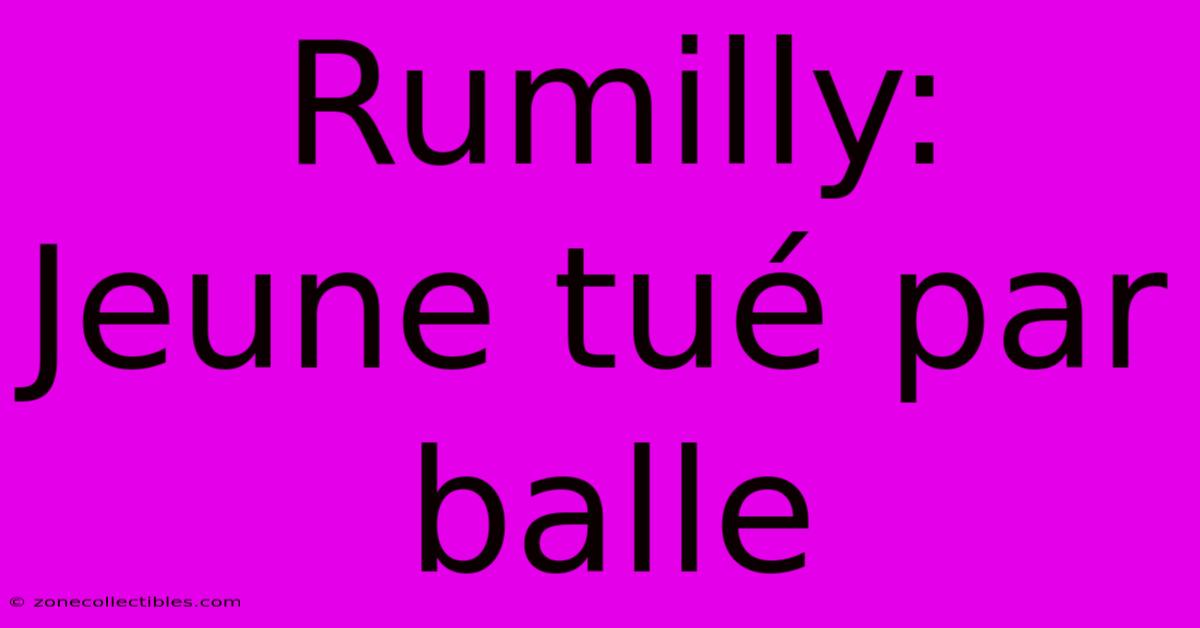 Rumilly: Jeune Tué Par Balle