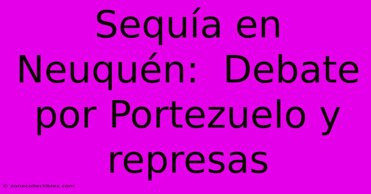 Sequía En Neuquén:  Debate Por Portezuelo Y Represas