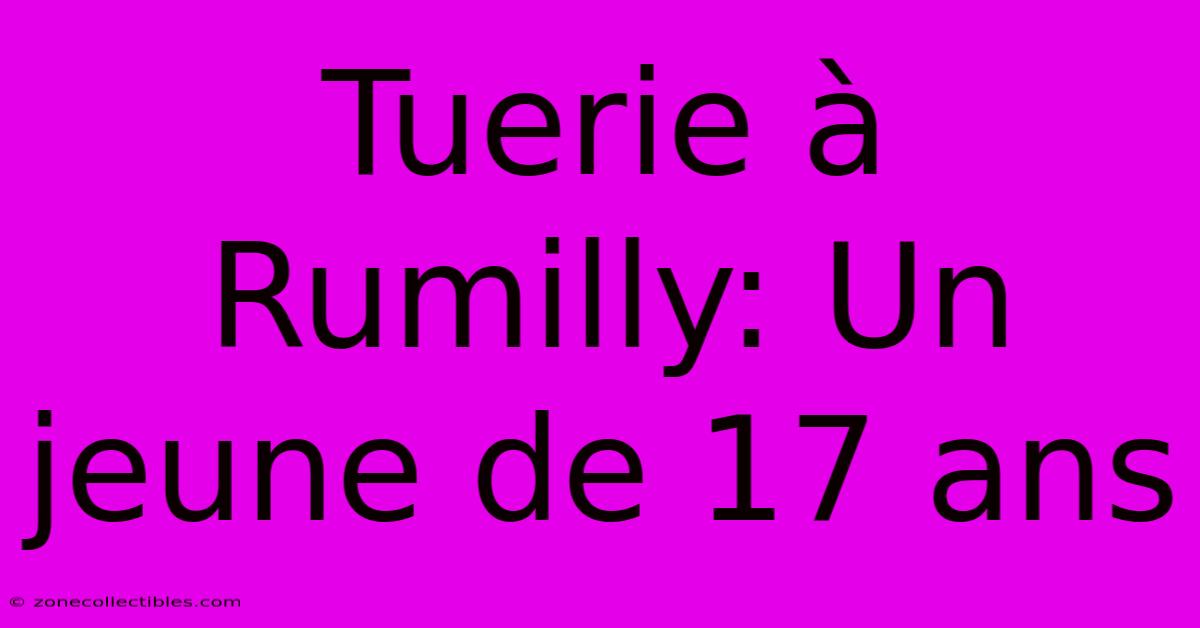 Tuerie À Rumilly: Un Jeune De 17 Ans