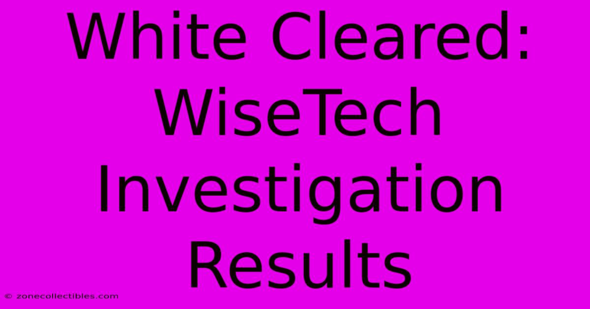 White Cleared: WiseTech Investigation Results