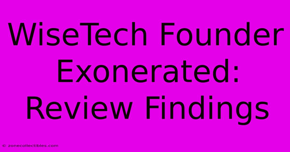 WiseTech Founder Exonerated: Review Findings