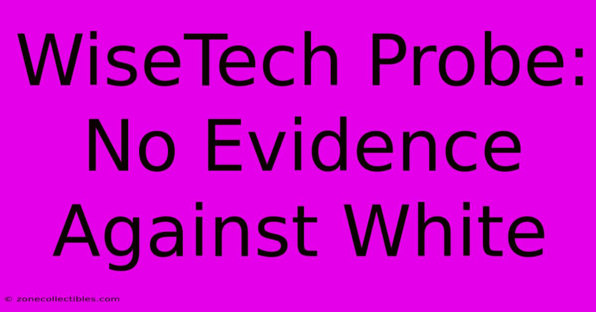 WiseTech Probe: No Evidence Against White