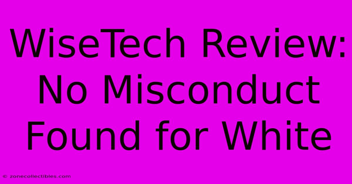 WiseTech Review: No Misconduct Found For White