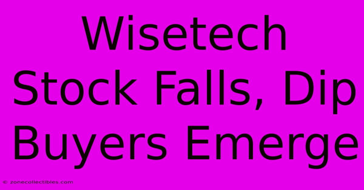 Wisetech Stock Falls, Dip Buyers Emerge